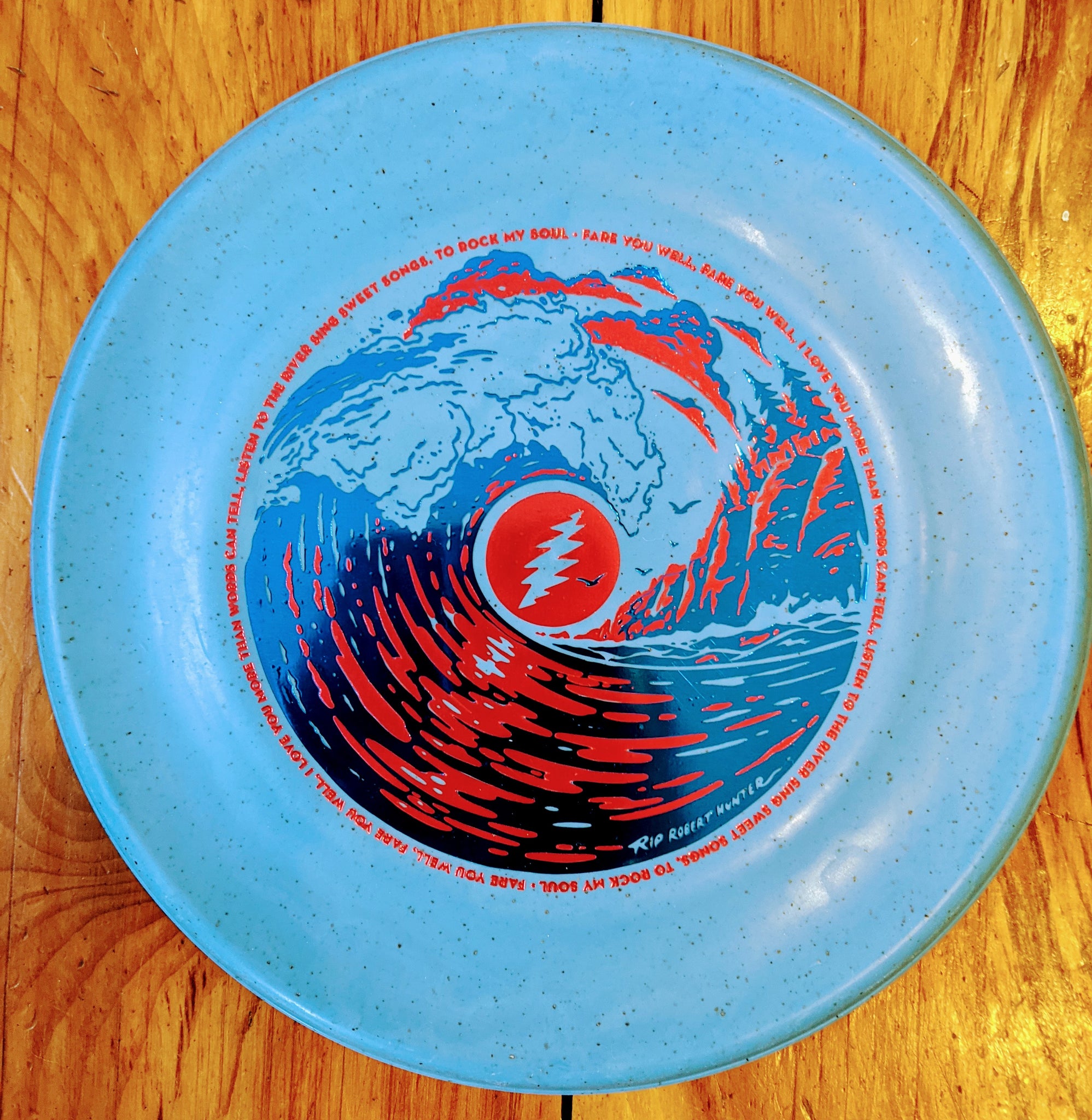 Funn & Frolic x Gateway BROKEDOWN 9" / 183gm throw & catch warm up golf disc / grateful dead